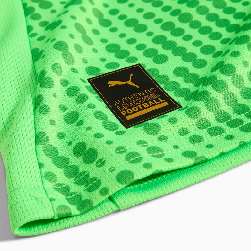 Camisola Portugal Guarda-Redes Verde 2025/26 PUMA